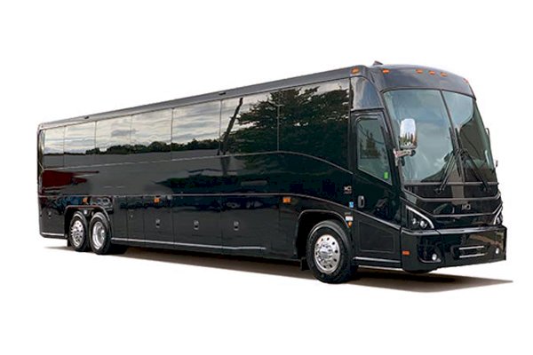 Coach Buses